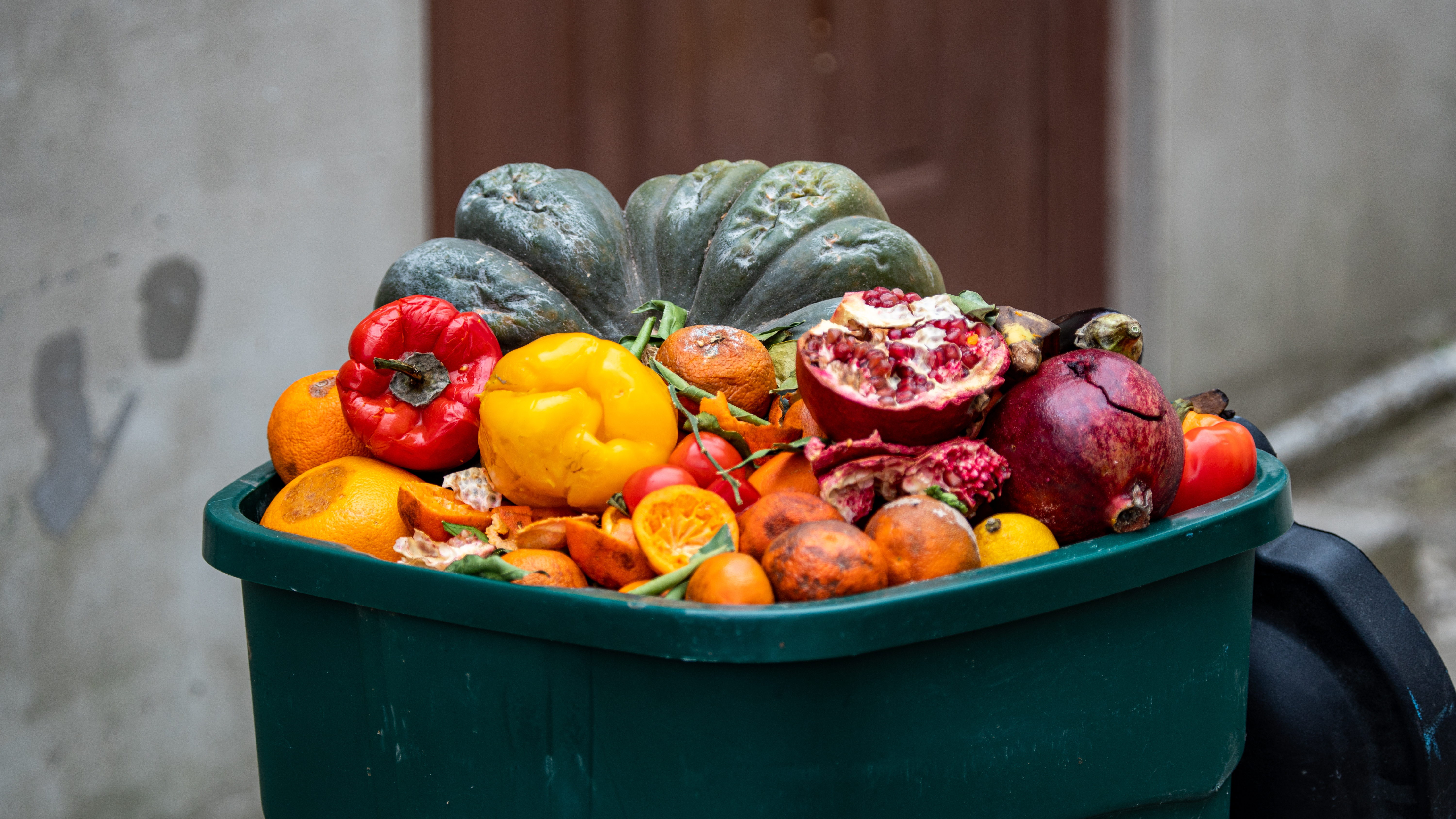 The Food Waste Problem