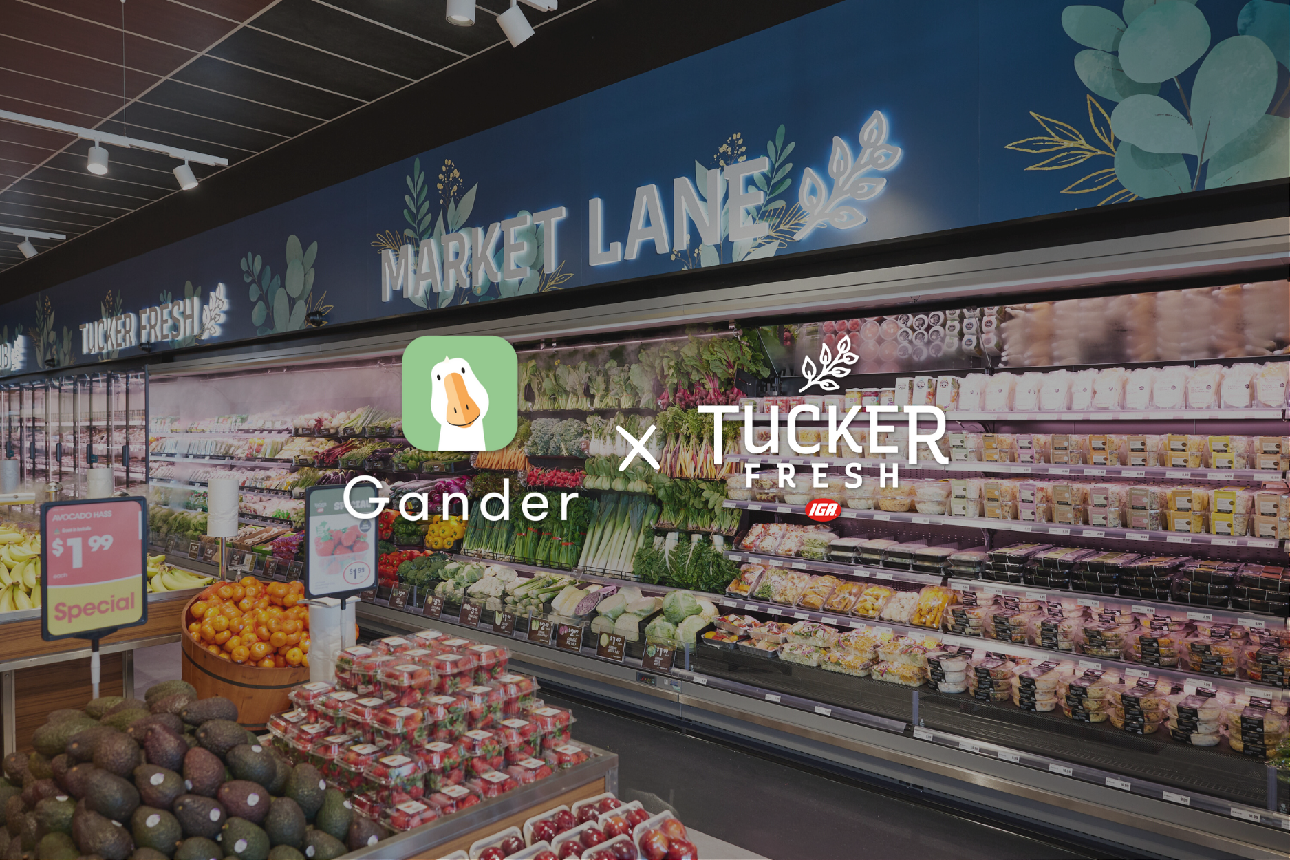 Gander Expands to Perth with Tucker Fresh IGA